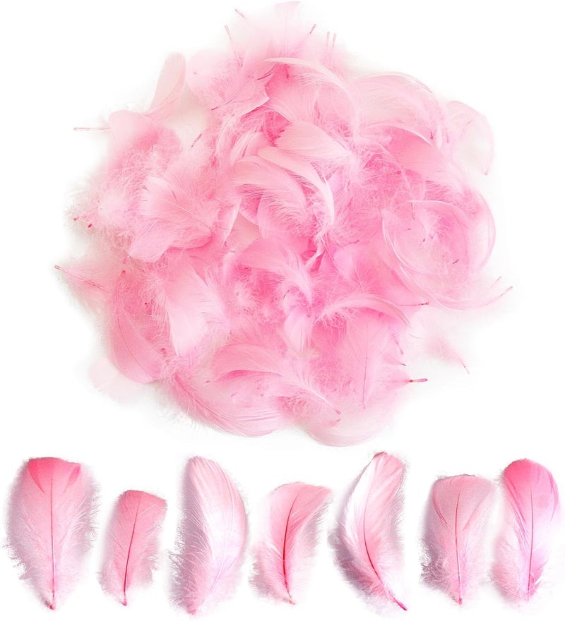 Lamar Feather 300pcs Pink Feathers 2-3 Inches Bulk Feathers for Crafting, Dream Catcher Accessories, Art Projects, DIY Crafting, Handi Crafts, Party Decoration (Light Pink) - Image 1
